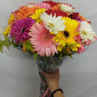 Ramo de 2 doc. gerberas